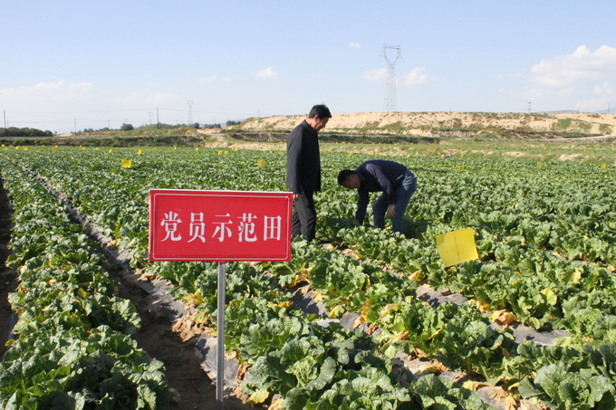 超大 超大現(xiàn)代農(nóng)業(yè) 超大現(xiàn)代農(nóng)業(yè)集團(tuán)