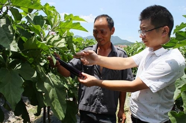 超大圓滿完成廈門金磚會議蔬菜供應(yīng)任務(wù)